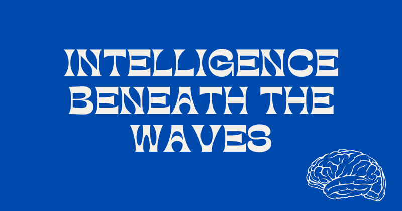 Intelligence Beneath the Waves