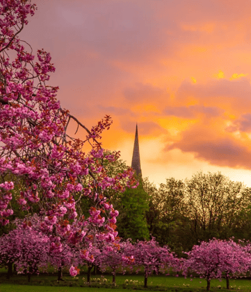 Harrogate's To-Do List