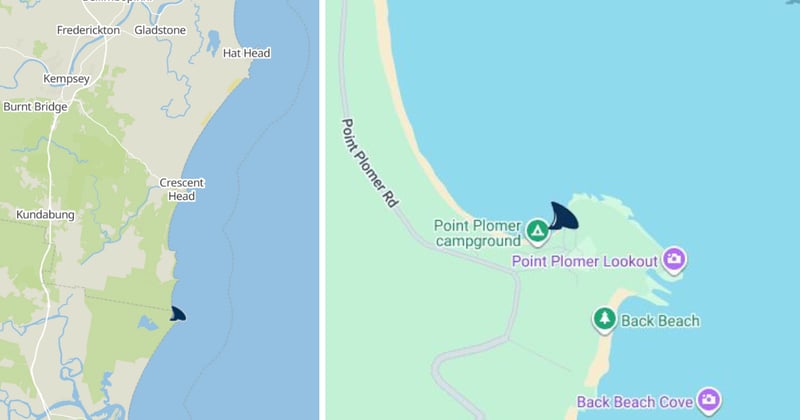 Surfer bitten by shark on the Mid North Coast. Beaches remain closed