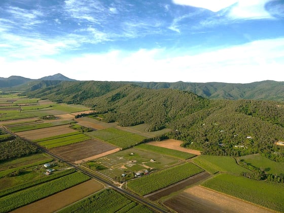 Newsport Alert Friday 15 August 2025