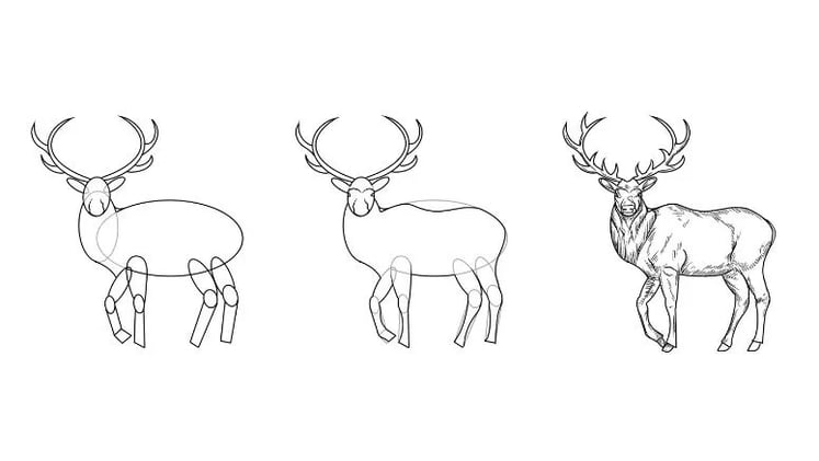 How to Draw an Elk