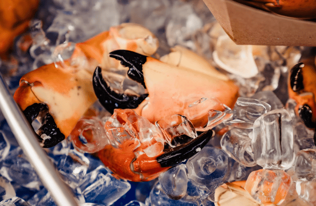 🦞 Seafood Festival, Miami Loop Trail & MIA Key Expansion! 