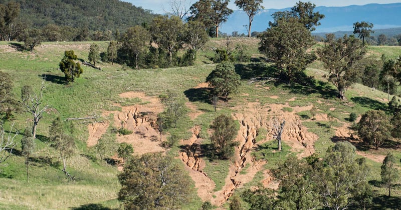 Have we unknowingly weakened the resilience of our Australian landscape?