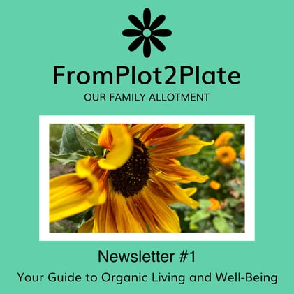 FromPlot2Plate Newsletter #1
