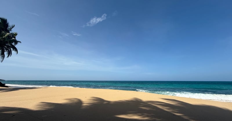 ¿Por qué 6% abandona el podcasting completamente?