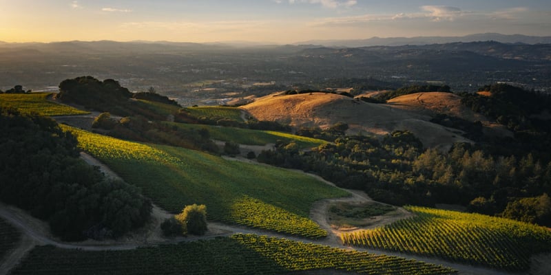 Nearly 4 in 10 Wine Country Homes Drew Multiple Offers Last Month