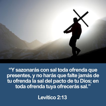 La Santidad: Medicina del Alma