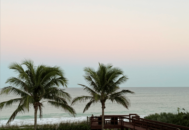 #31: 25 lessons from 2025