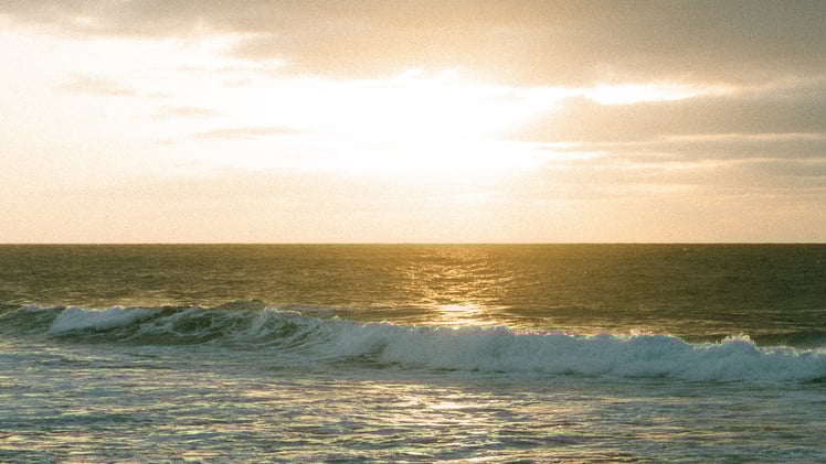 About This Newsletter