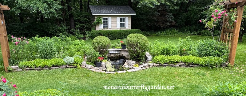 WATERFALL Garden Tour + June Prune for Lilacs!  