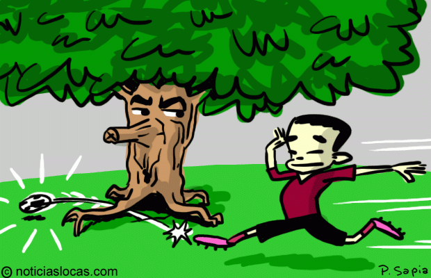 Una cancha de fútbol con un árbol en el medio