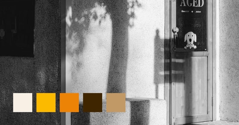 Shadows In Photography