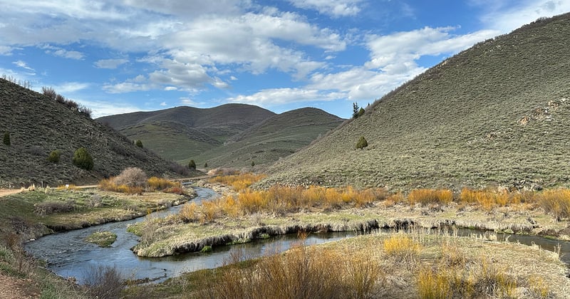 County Lands News - February 2026