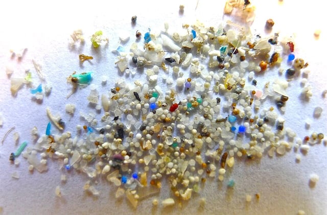 Microplastics in Corals, Warp Drive Detection, and Parasite Prevention
