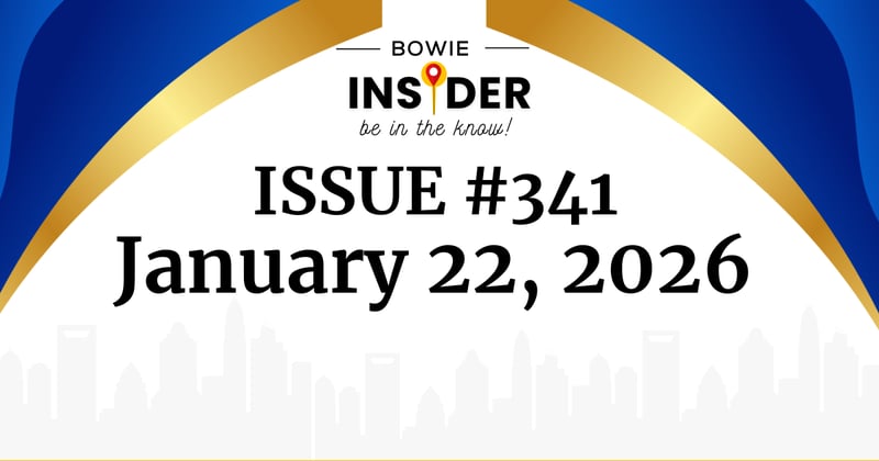 Bowie Insider Issue #341