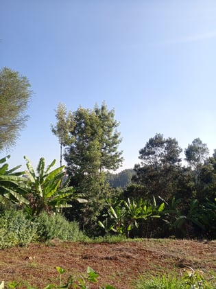 It's not yet a happy new year 