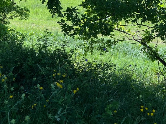 Some kind of change, some kind of spinning away