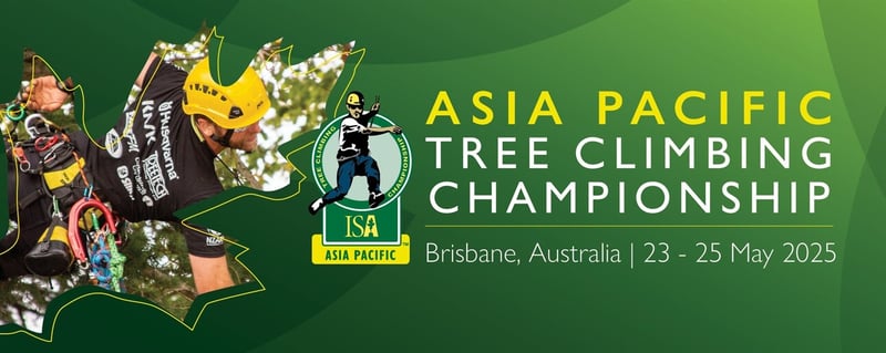 🔵  World-Class Tree Climbers in Capalaba