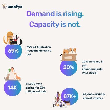 🐾 Beyond the Consult Room — How Dog Owners Navigate Confusion, Care & Daily Decisions