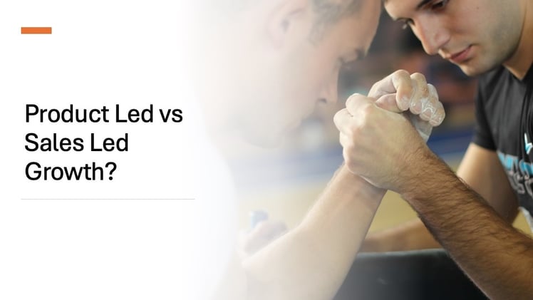 Building the Flywheel: Creating Sustainable Revenue & Profit Growth