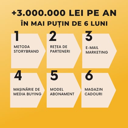 [Studiu de caz] 3M lei/an în mai puțin de 6 luni