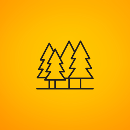 Through Thick and Thin