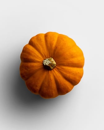 Pumpkin Season