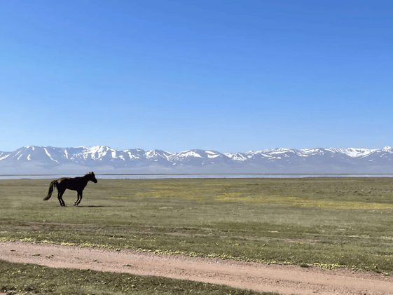 🫰Slowmading is an adventure, with Jo