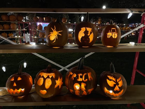 The Great Pumpkins are Coming 🎃 