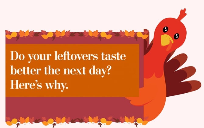 🔬🦃Still Full? Here Are STEM Jobs You Can Do on a Food Coma 🦃 