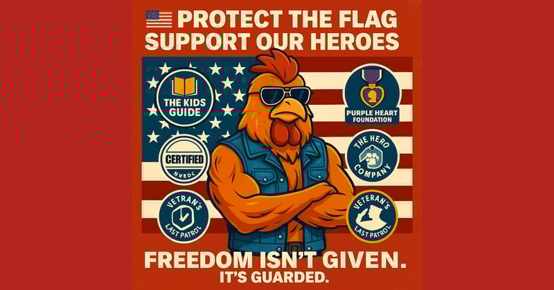 🇺🇸 Protect the Flag and Stand for Freedom. Freedom Toys.