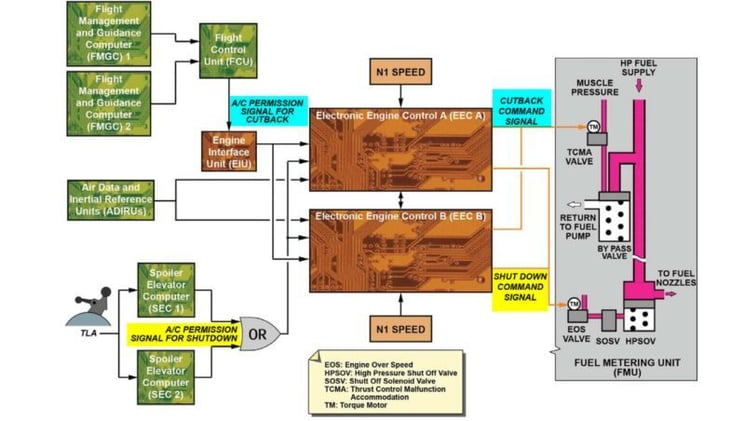 The Open‐for‐Terrorism Switch: When Design Fails in Silence