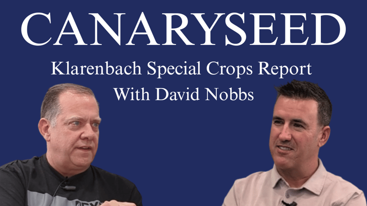 Canaryseed with David Nobbs