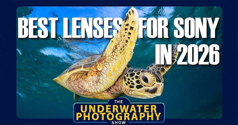 Best & Worst Lenses For Sony Underwater Shooters - 2026 Edition