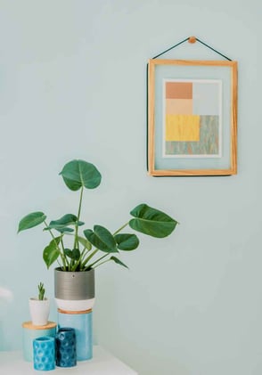 4 Best Ways to Decorate Your Living Room Walls on a Budget