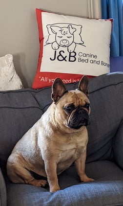 The Creative Hub Issue 7