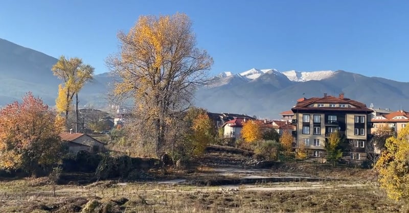 Driving through a foreign country alone