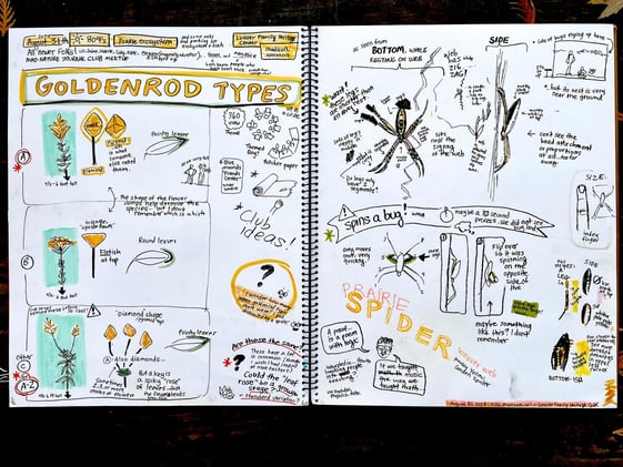 This Quiet Hobby Will Rewire Your Brain