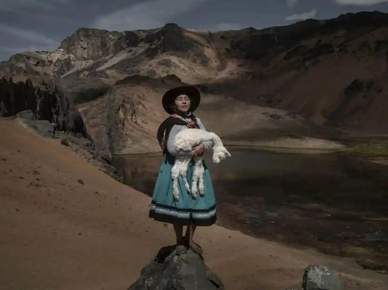 Las impactantes imágenes del World Press Photo