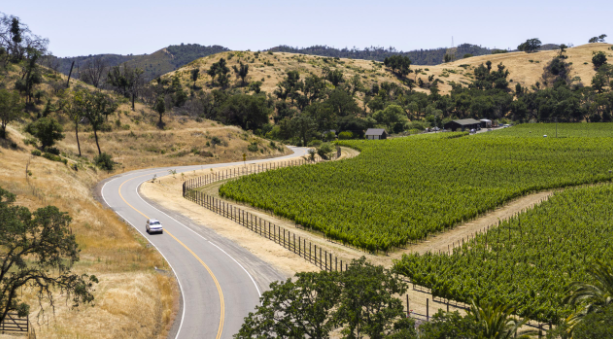 Wine tourism now accounts for a quarter of global winery revenue // (Most) Fizz Flatlines Ahead of the Holiday Season