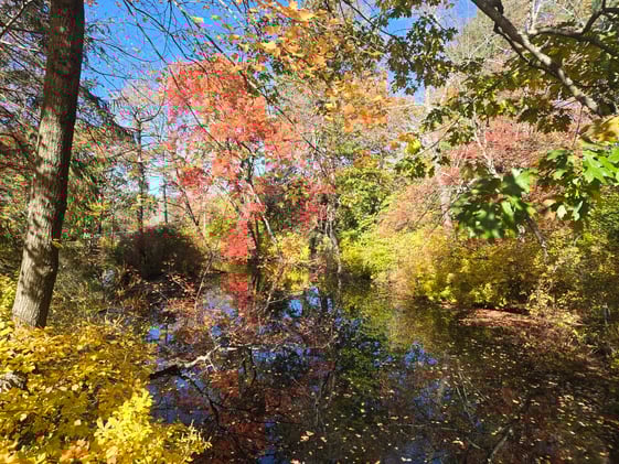 #AcademicRunPlaylist - 10/22/25