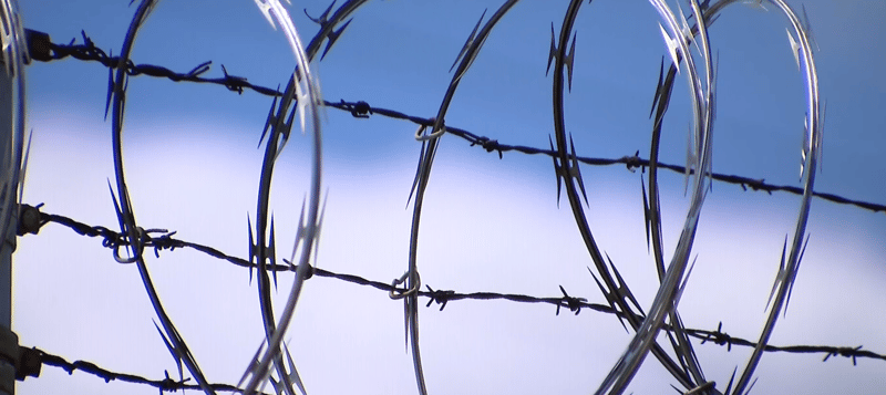 Losing My Perspicacity, November 6, 2025