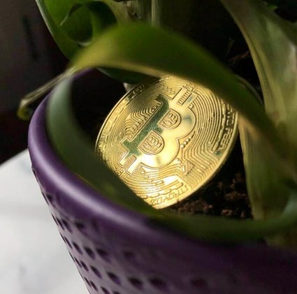 Biden wants to double capital gains and clamp down on crypto wash sales: Reports