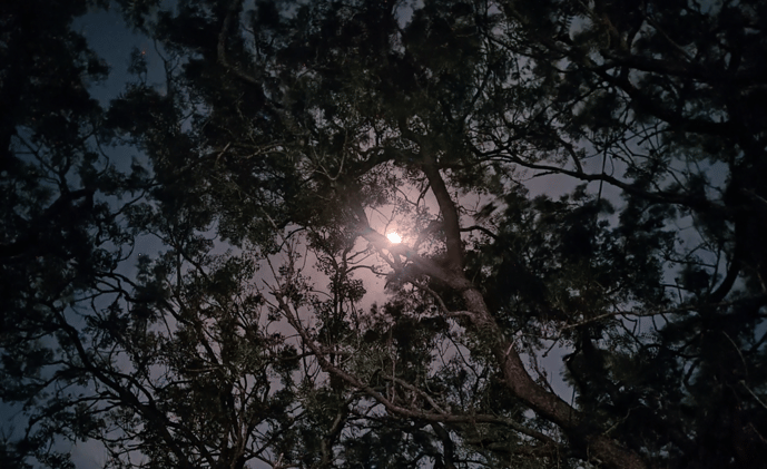 When we meet again...