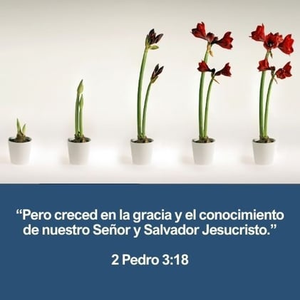 La Evolución del Cristiano