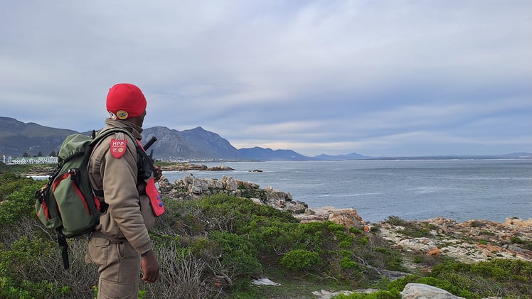 Keeping Hermanus Safe and Sound - Meet the Guardians of Our Town