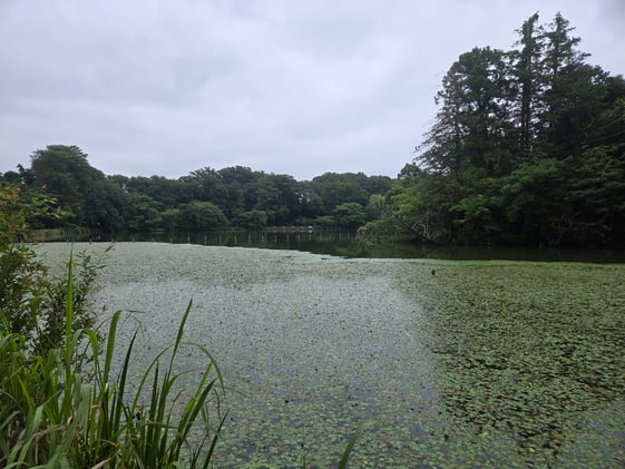 #AcademicRunPlaylist - 7/12/25