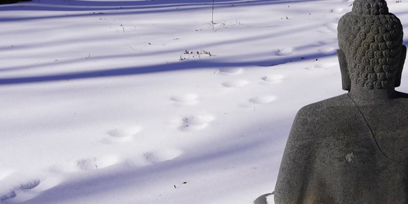 Il corpo vissuto in prima persona