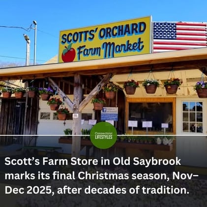 ❄️ Tree Farms, Winterfest & Free Exhibits in Connecticut