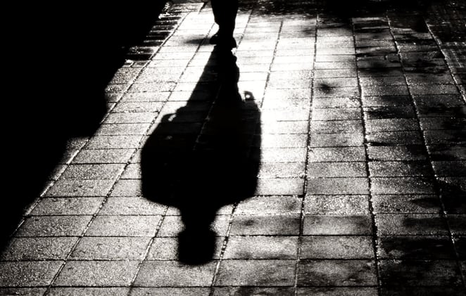 Shadows Affirm the Light